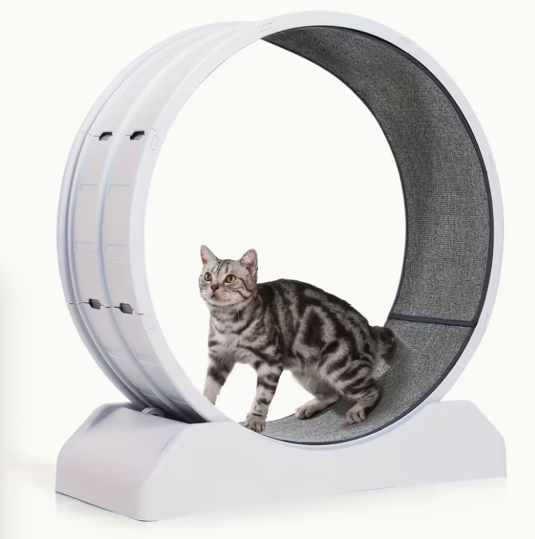 33-Inch Large Carpet-Surface Cat Exercise Wheel๐๐๐