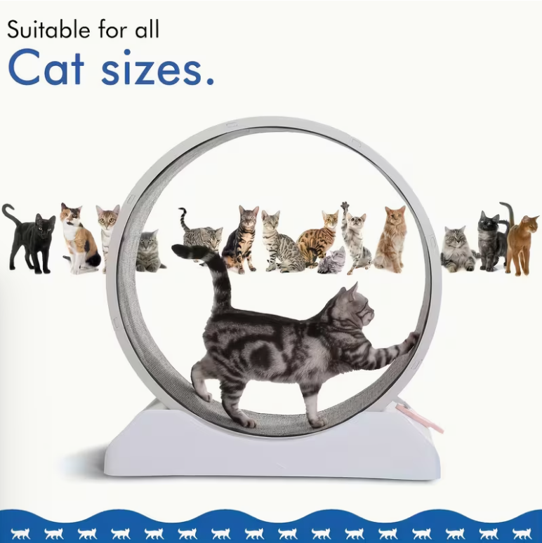 33-Inch Large Carpet-Surface Cat Exercise Wheel๐๐๐