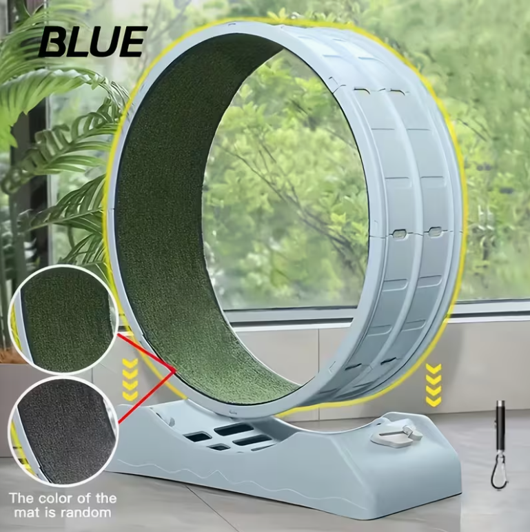 33-Inch Large Carpet-Surface Cat Exercise Wheel๐๐๐