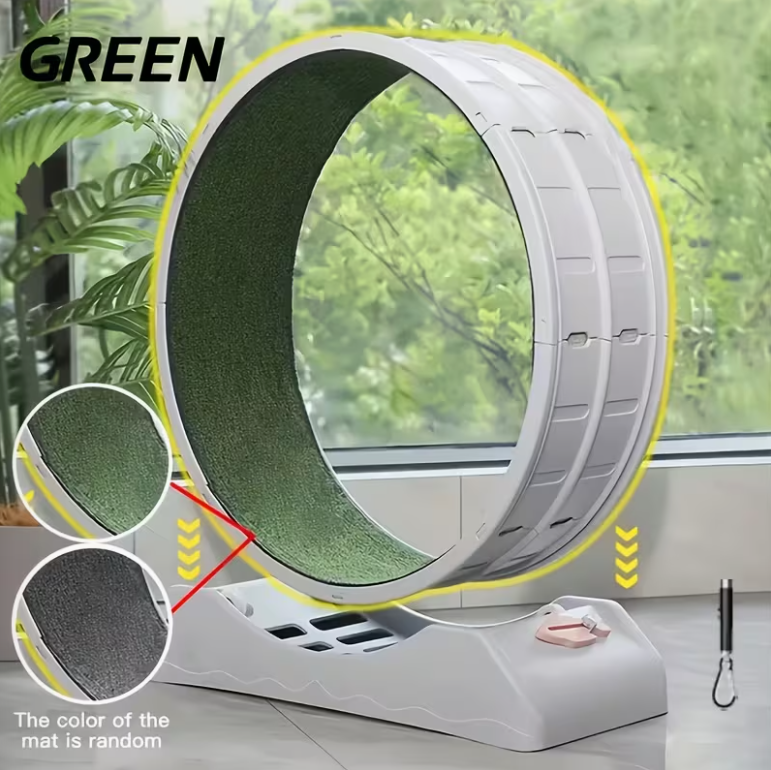 33-Inch Large Carpet-Surface Cat Exercise Wheel๐๐๐